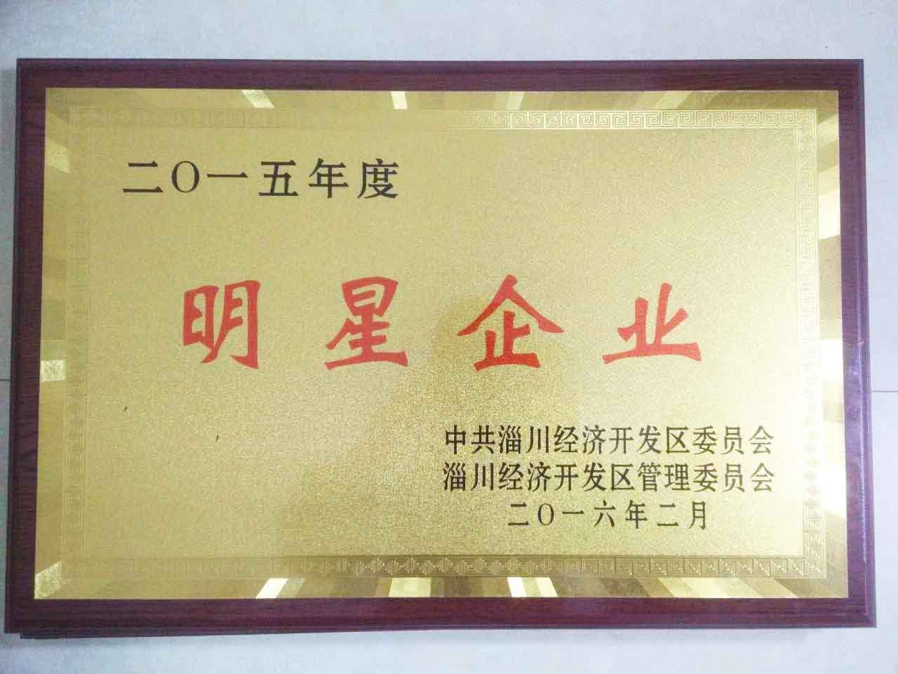 2015年度開發（fā）區明星企業