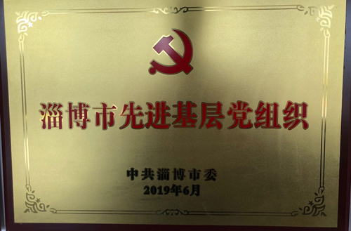 2019年淄博市先進基層黨（dǎng）組織（zhī）