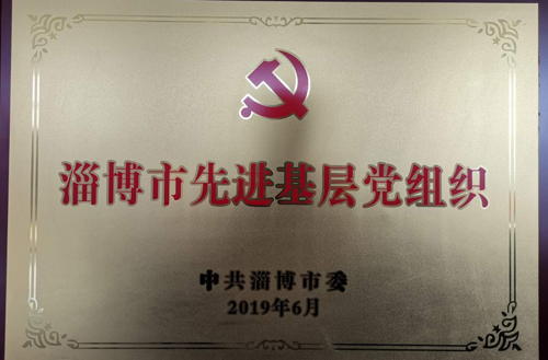 2019年（nián）淄博市先進基層黨組織